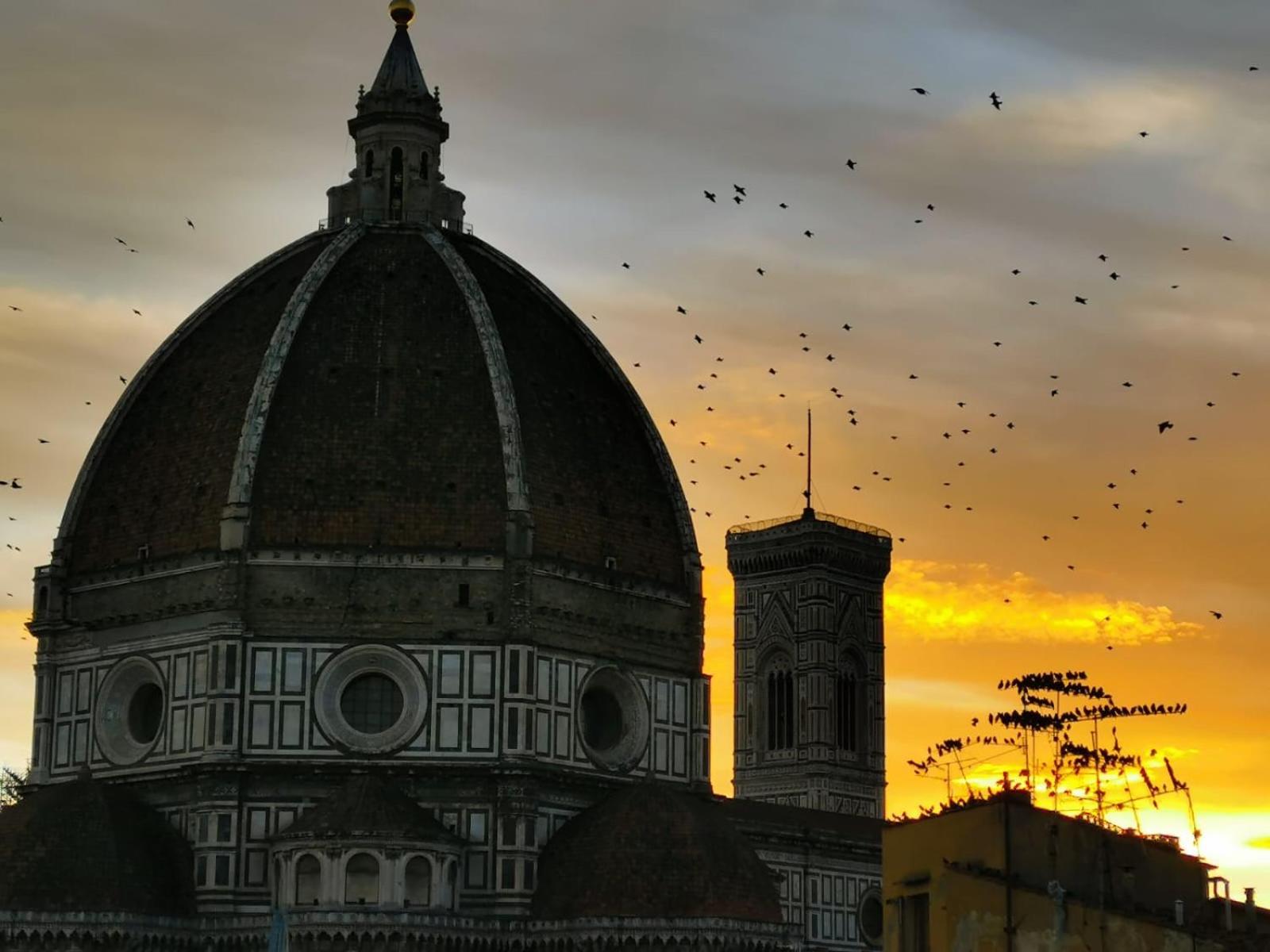 Duomo Studio Florenţa Exterior foto